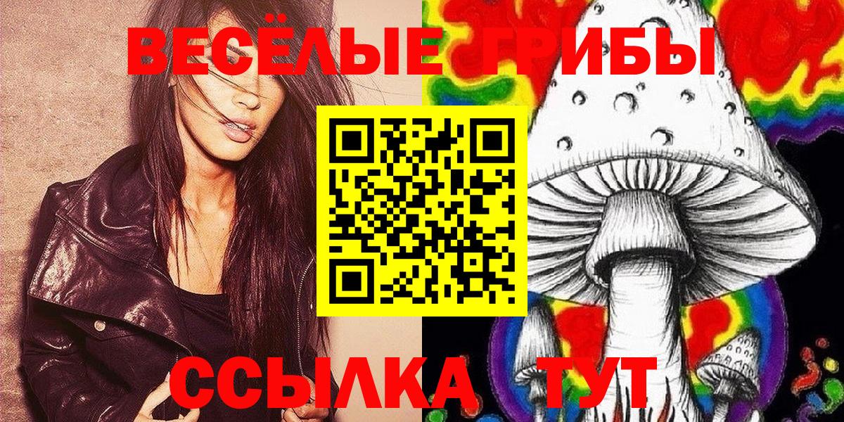 Псилоцибиновые грибы GOLDEN TEACHER Алейск